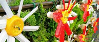 Idei noi de grădină sau meșteșuguri din sticle de plastic