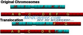 Хромосомні мутації типу транслокацій