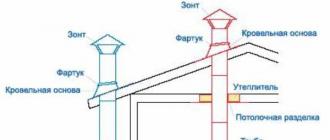 Chimney device for a gas boiler: the secrets of self-installation