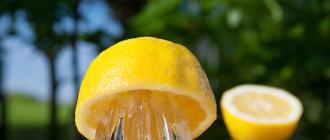 Як зробити лимонне желе