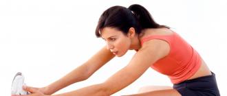 Stretching: exercises for different parts of the body (photo)