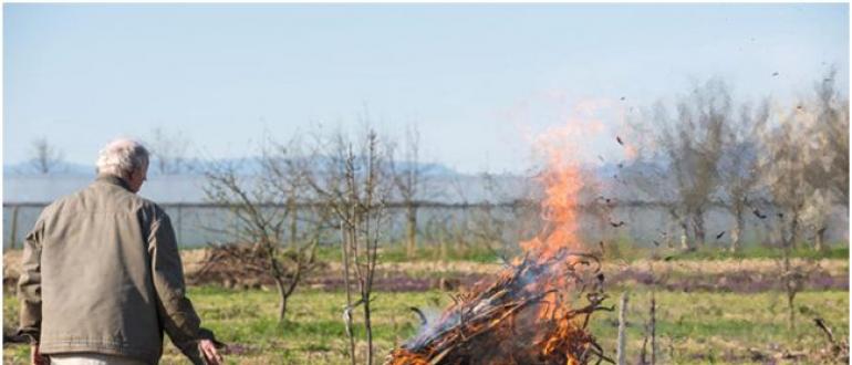Šiukšlių deginimas šalyje: statinės ir plytų deginimo krosnies naudojimas