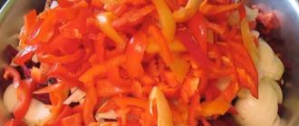 Borș fără sfeclă - gustos, aromat, strălucitor Este posibil să gătești borș fără morcovi?