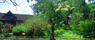 Urlaub auf Bali: wo, wann und warum Nicht religiöse Feiertage und Feste