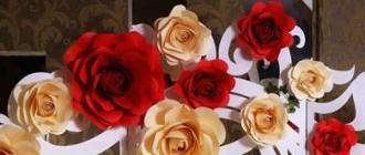 Ζώνη φωτογραφιών για γάμο Χάρτινα λουλούδια για ζώνη φωτογραφιών σε διαφανές φόντο