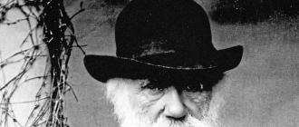 История эволюционистики: что писал и как думал дарвин?